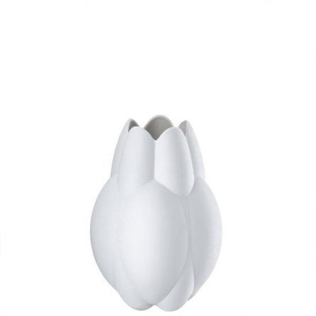 Core 20cm