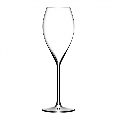 Excellence Champagne glass 21cl, 6-pack