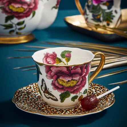 Creatures of Curiosity Tea Cup & Saucer 35cl