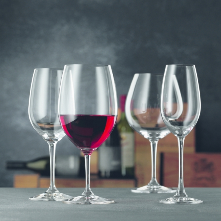 Vivino Champagne Glass 26cl, 4-pack