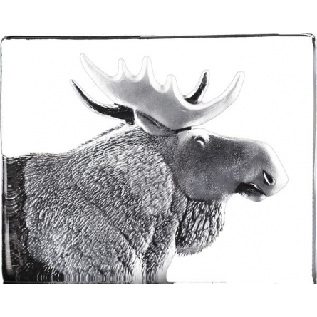 Moose