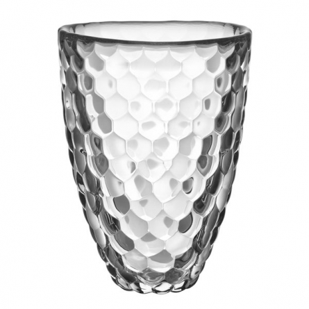 Raspberry Vase Clear H 16cm