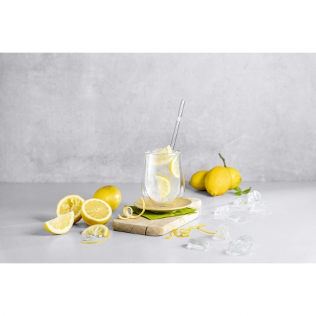 Sorrento Glassaugrohr+Reinigungsbürste 4er Pack Transparent