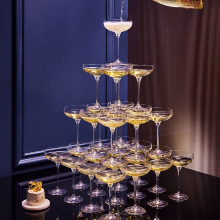 Harmony Champagne glass Coupé 24cl, 6-pack