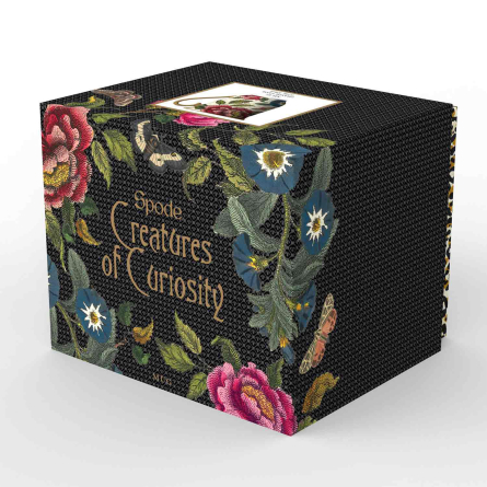 Creatures of Curiosity Black Teacup 34cl
