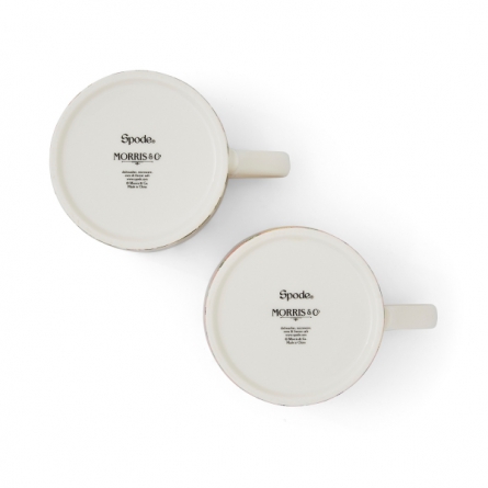 Fruit & Honeysuckle Mugs 34cl, 2-pack