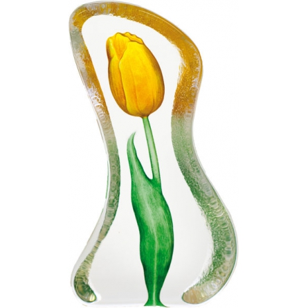 Tulip Yellow klein