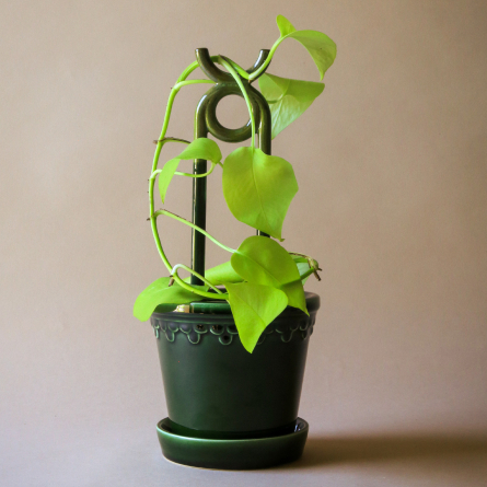 Oni Plant Stake Moss Green
