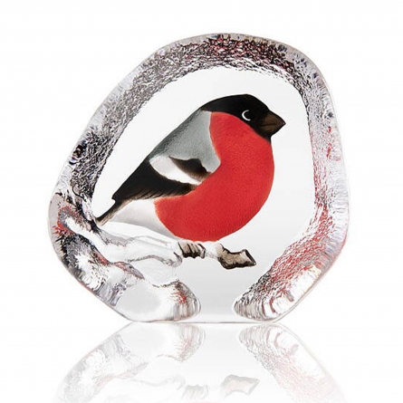 Bullfinch