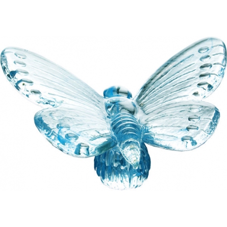 Papilio blue