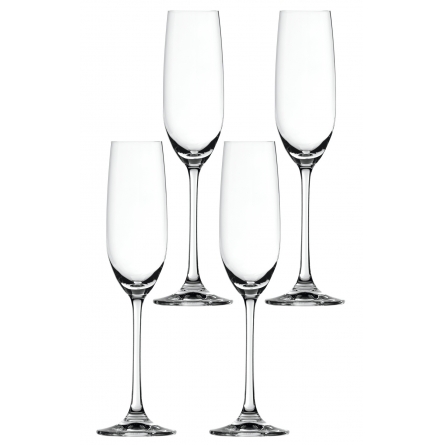 Salute Champagne Glass 21cl 4-Pack
