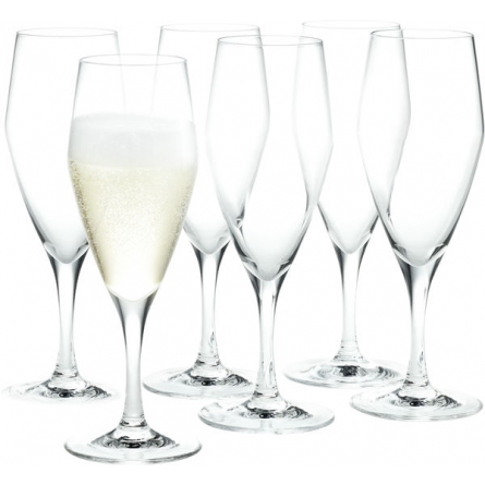 Perfection Champagne glass 23cl, 6-pack