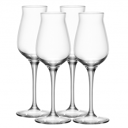 Authentis Whisky Tasting Glass 17cl, 4-pack