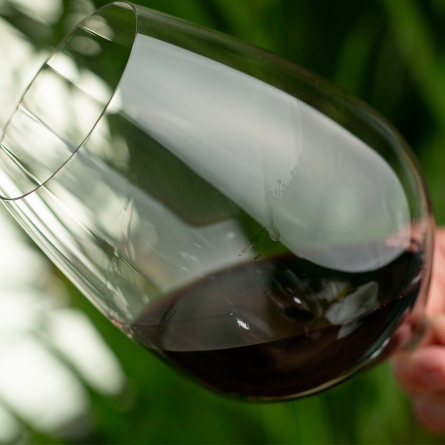 Performance Wine Glass - Cabernet/Merlot 84cl, 4-pack