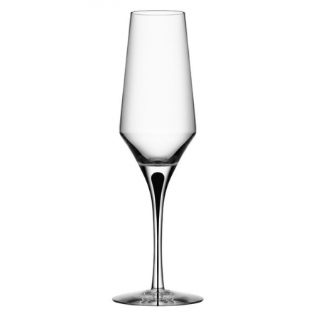 Metropol Champagne Glass 27cl