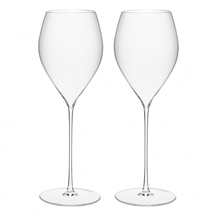 Elegance Champagne glass 38cl, 2-pack