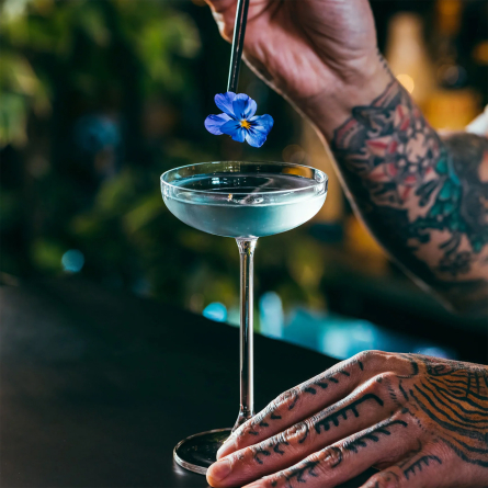 Bespoke Cocktail Glass Coupe 12cl, 6-pack