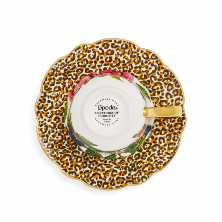 Creatures of Curiosity Tea Cup & Saucer 35cl