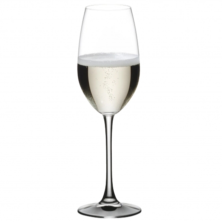 Vivino Champagne Glass 26cl, 4-pack