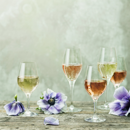Sense Champagne Glass 25,5cl, 6-pack