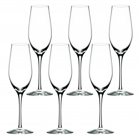 Merlot Champagneglas 33cl, 6-pack