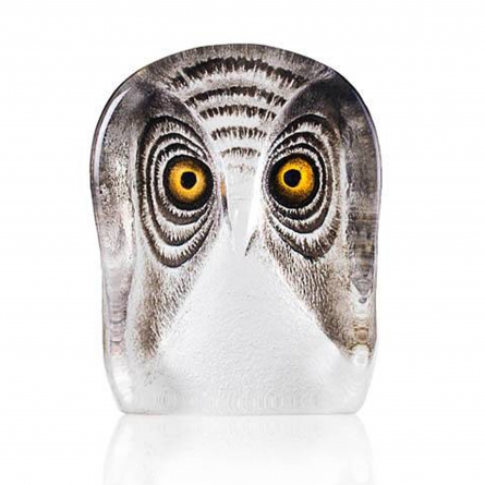 Owl, Small