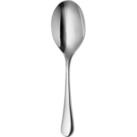 Radford Gourmet Serving Spoon, Bright