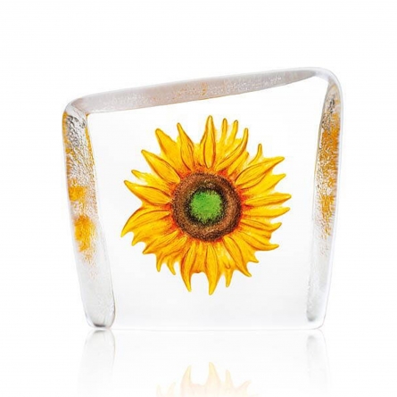 Sunflower, Small