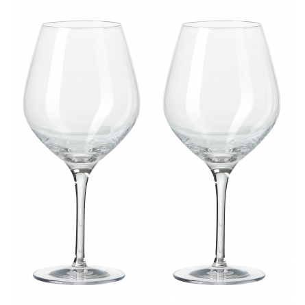 Passion Vinglas Connoisseur Light 65cl, 2-pack