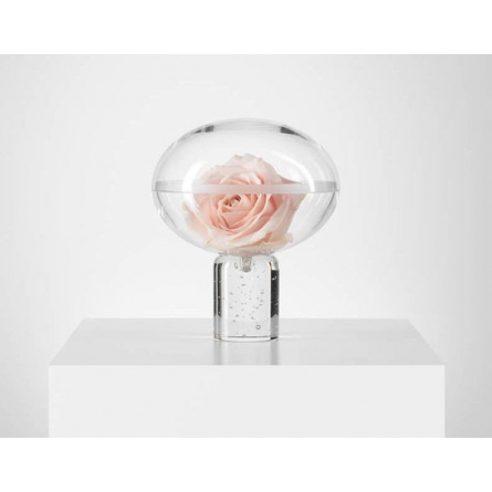 Rosengömma Clear