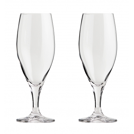 Passion Beer Glass Connoisseur 40cl, 2-pack
