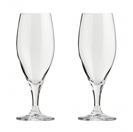 Passion Beer glass Connoisseur 40cl, 2-pack