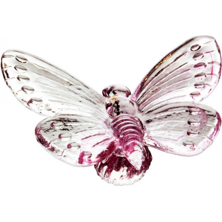 Papilio pink