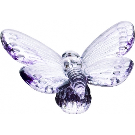 Papilio lila