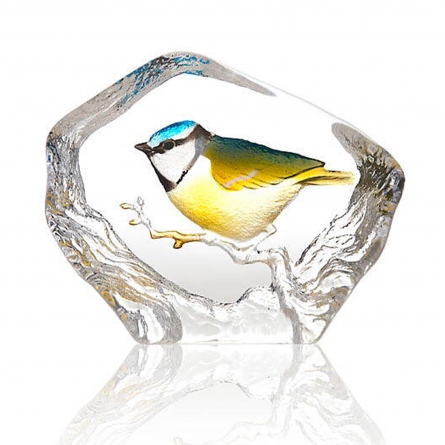 Blue Tit