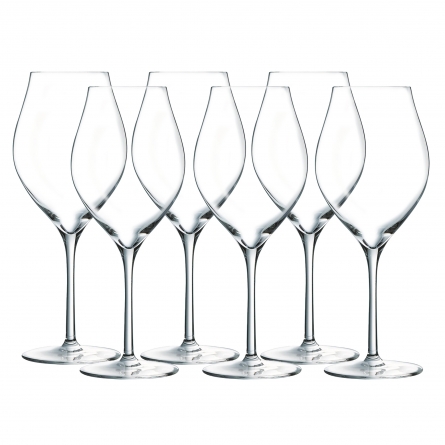 Exaltation Red Wine Glass 55cl, 6-pack