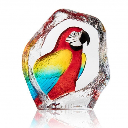 Parrot