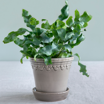 Copenhagen Pot Pearl Grey, Ø 21cm