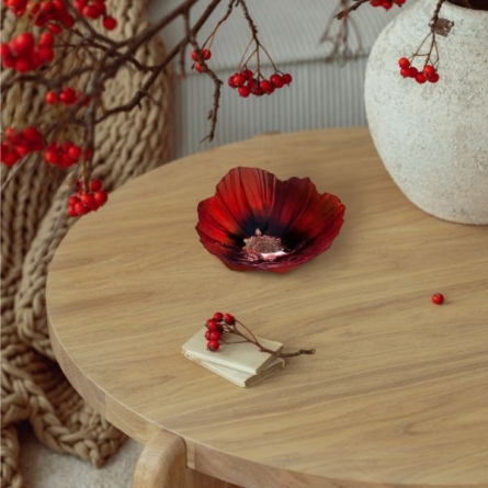 Poppy Skål, Liten