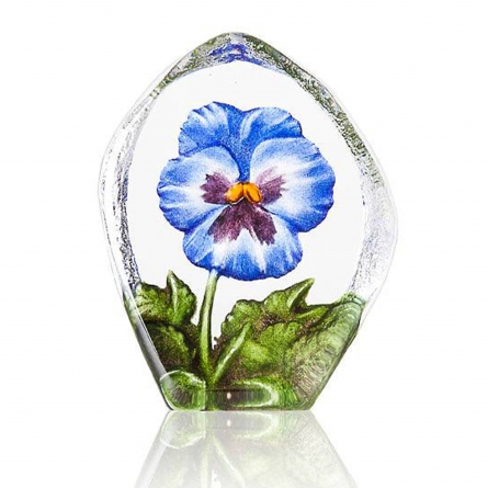 Pensée, Blue