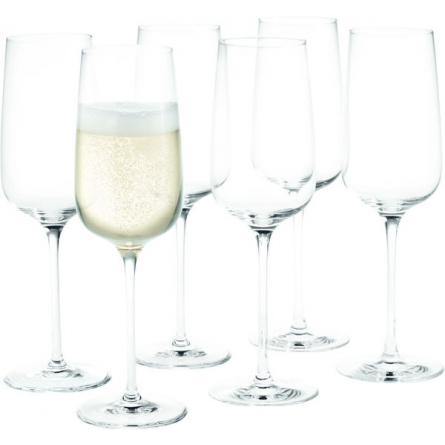 Bouquet Champagne glass 29cl, 6-Pack