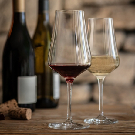 Bouquet Red Wine Glass 49cl, 2-pack