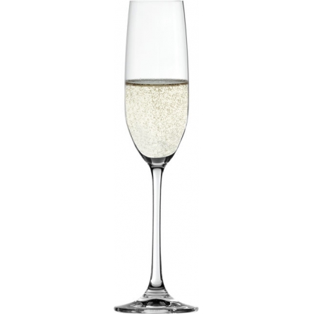 Salute Champagne Glass 21cl 4-Pack