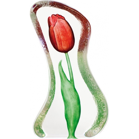 Tulip röd liten
