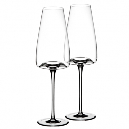 Vision Champagne glass Rich, 2-pack