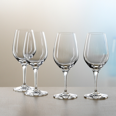 Expert Tasting Wine glass 26cl