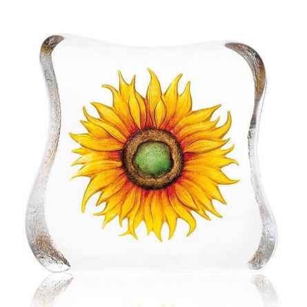 Sunflower, Large