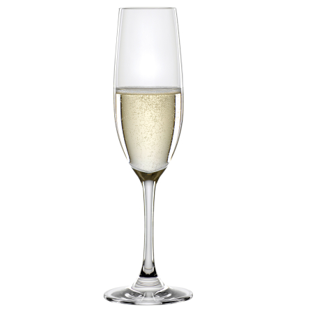 Winelovers Champagne Glass 19cl, 4-pack