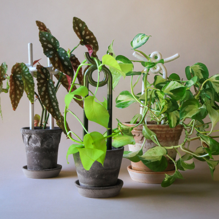 Oni Plant Stake White