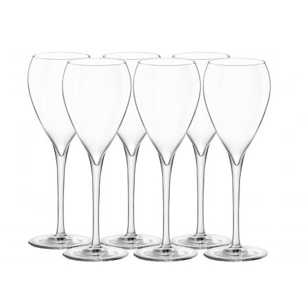 Champagnerglas InAlto Tre Sensi 22cl, 6-pack